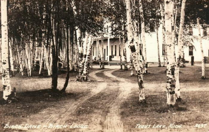 Birch Lodge (Birch Lodge Motel) - Old Postcard